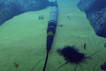 A Internet no Brasil - o papel dos Cabos Submarinos e Data Centers